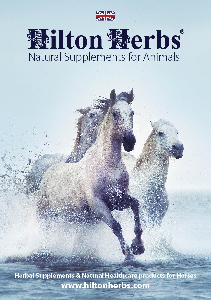 UK Equine Catalogue - front cover